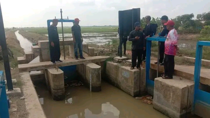 Sukseskan Tanam Padi Musim Gadu, Bupati Nina Perintahkan Camat Monitoring Irigasi Pertanian