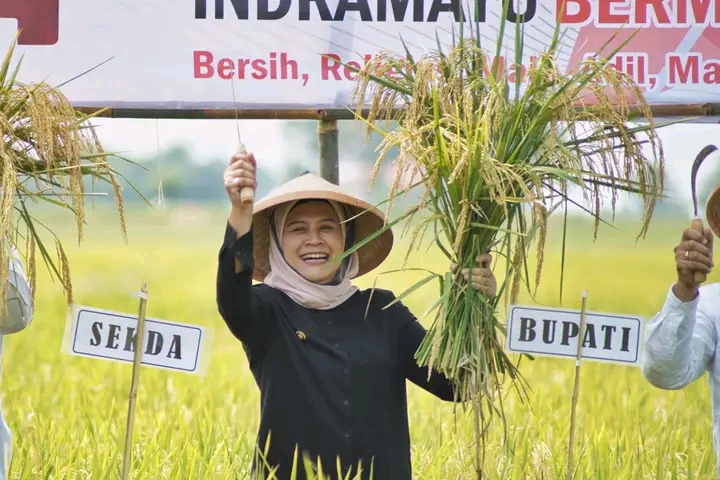 Hebat! 1.000 Hektare Sawah Indramayu Jadi Pilot Project Pertanian Organik di Indonesia