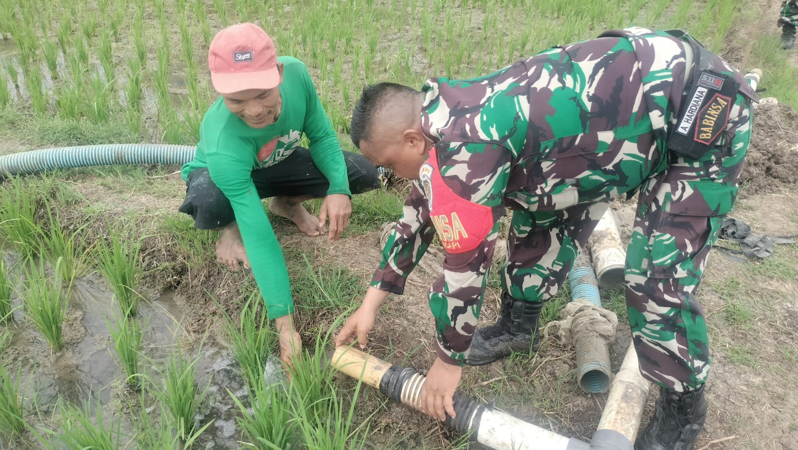 Babinsa Kecapi Lakukan Pendampingan Poktan Mulya Tani Menunjang Kesejahteraan Petani