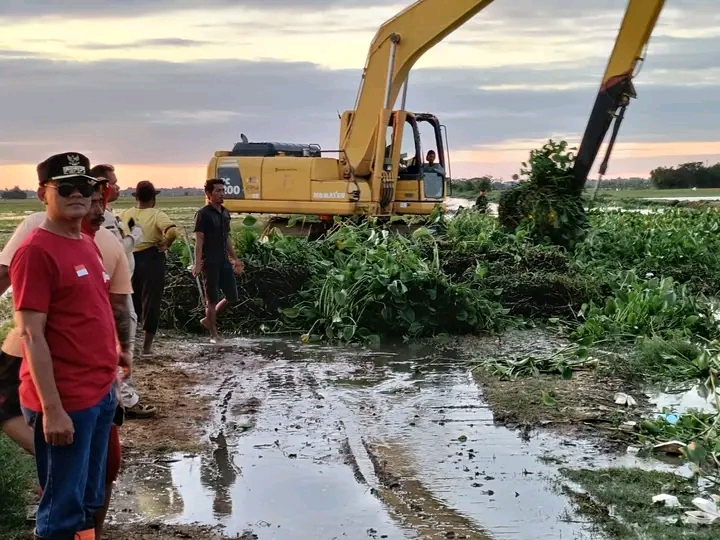 Petani Arahan Bersyukur, Saluran Pembuangan Kali Maja Bersih dari Eceng Gondok