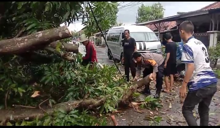 Polsek Kedokanbunder Gercep Evakuasi Pohon Tumbang