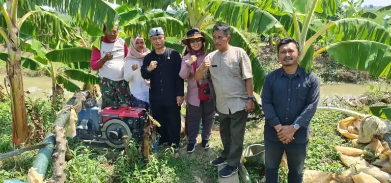 Atasi Kekeringan di Areal Persawahan, DKPP Indramayu Luncurkan Sumur Bor