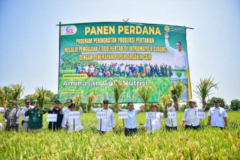 Percontohan Nasional, Pjs. Bupati Indramayu Panen Perdana Pertanian Organik Seluas 1.000 Hektare