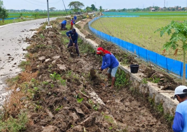 Pelihara Infrastuktur Pertanian, Pemdes Plawangan Lakukan Normalisasi Saluran Irigasi