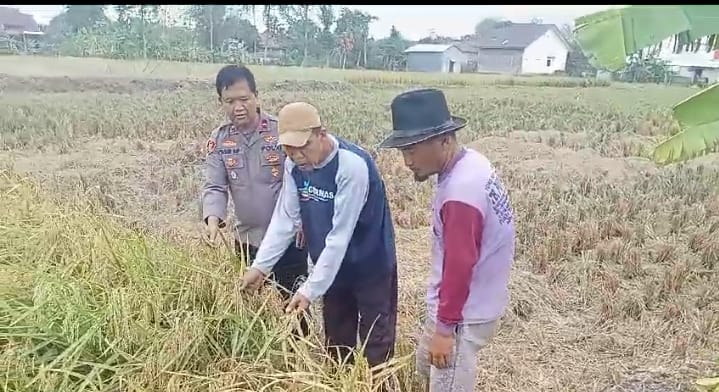 Kapolsek Kedokan Bunder Mengimplementasikan Program Asta Cita Yaitu Swasembada Pangan Dari Presiden Prabowo Subianto