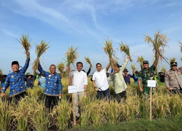 Panen Raya di Indramayu, Pj. Gubernur Jabar Dorong Peningkatan Produksi Padi