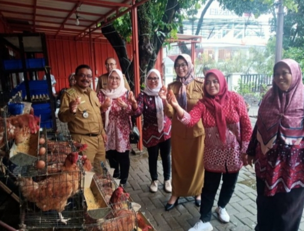 Ternak Ayam Petelur di Halaman Kantor, Cara Camat Lohbener Tingkatkan Gizi Anak Stunting