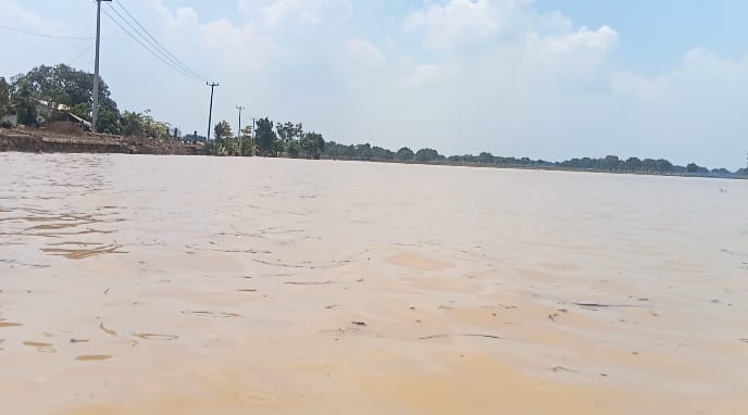 Puluhan Hektar Sawah di Desa Jatisura Terendam Banjir