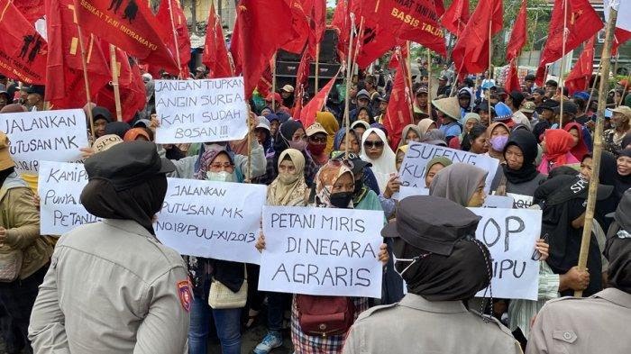 Serikat Tani Indramayu Gelar Aksi Unjukrasa di Depan Kantor DKPP