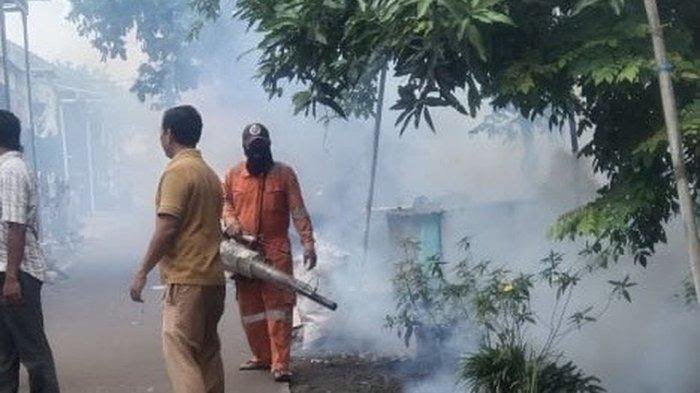 Antisipasi Kasus DBD, Fogging Dilakukan di Desa Tugu Indramayu