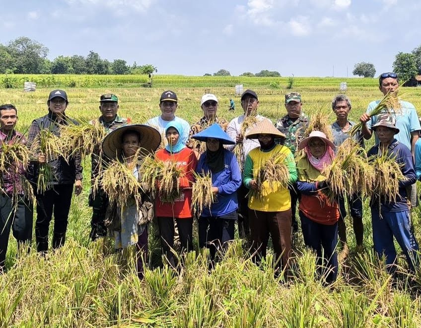 Bulog Cabang Indramayu Terjunkan Tim Guna Serap Gabah Petani, Optimis Penuhi Target Pemerintah