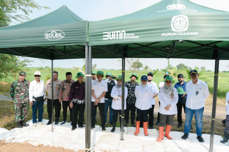 Pupuk Indonesia Dorong Petani Indramayu Capai Swasembada dengan Pemupukan Berimbang