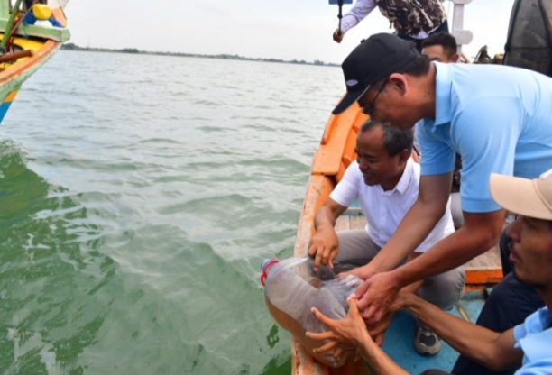 Pemprov Jawa Barat Tebar Satu Juta Benih Rajungan di Indramayu, Wujud Nyata Komitmen Kelola Laut Berkelanjutan