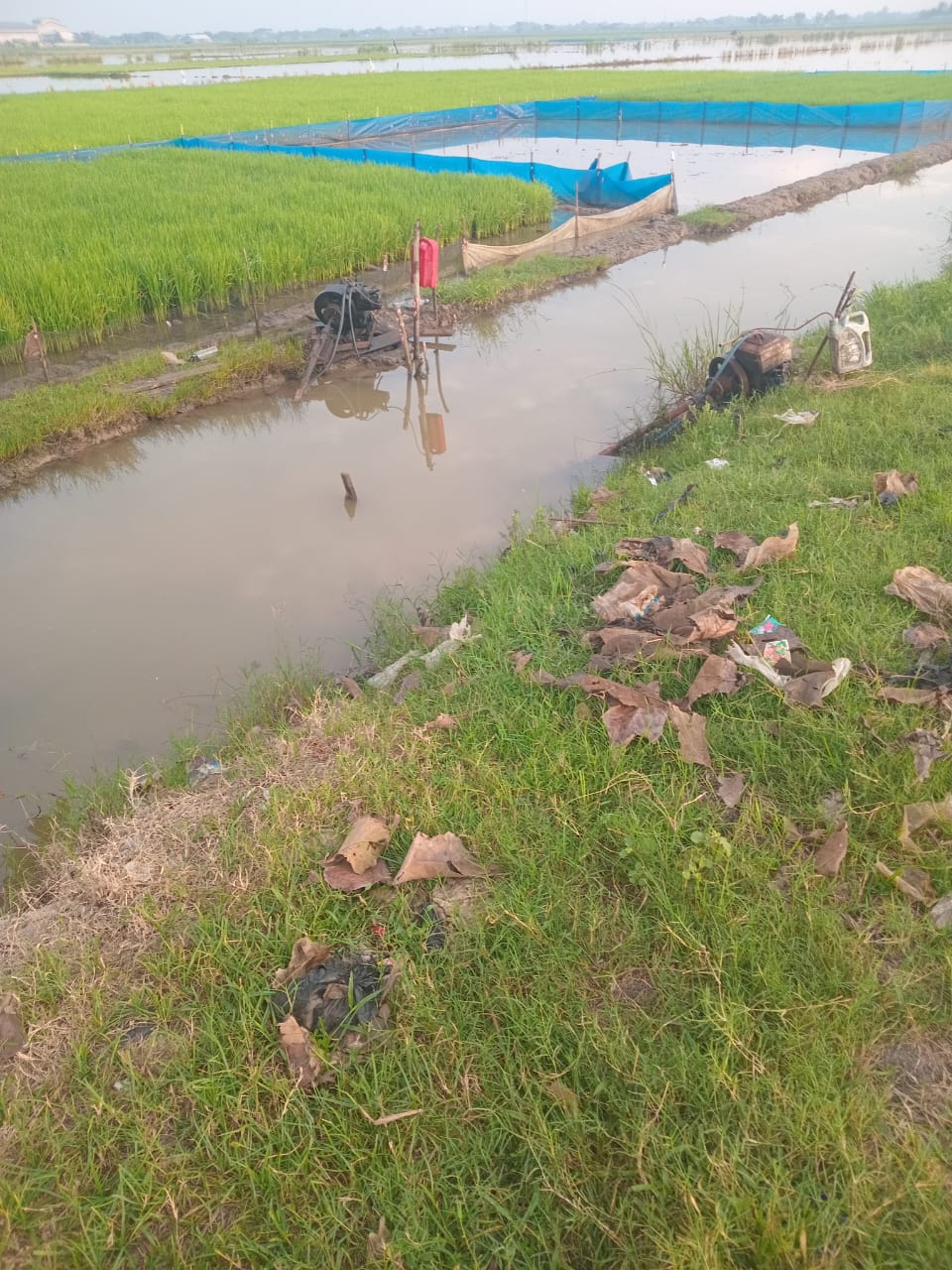 Petani Singakerta Geram Sejumlah Alsintan Hilang, Ketua Poktan Diminta Mundur