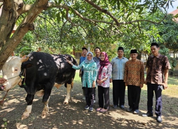 Sapi Kurban Hasil Inseminasi Buatan dari Indramayu Terpilih untuk Presiden