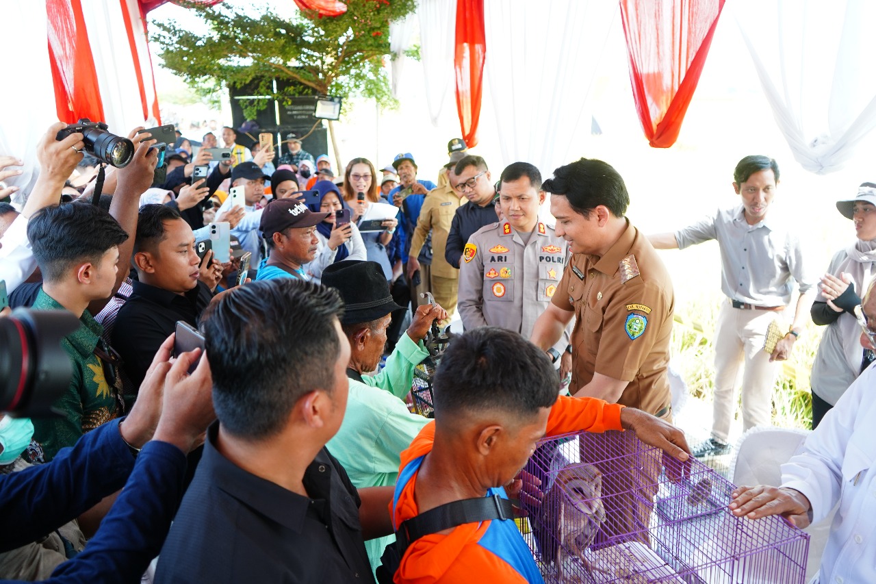 Setelah Lepaskan Ular ke Sawah, Bupati Lucky Hakim Kembangkan Burung Hantu untuk Kendalikan Hama Tikus