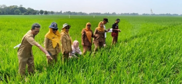 Petani Desa Telukagung Memulai Musim Tanam Rendeng Pada 25 Desember 2025