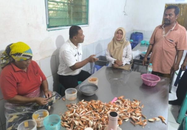 Dari Muara Kali Sewo Menuju Pasar Ekspor, Rajungan Ujunggebang Mendunia