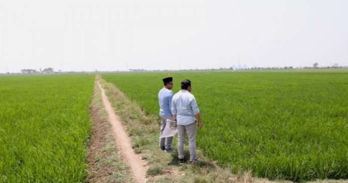 Menteri ATR/BPN Pastikan Lahan Industri di Indramayu Tidak Masuk Kawasan Sawah Dilindungi